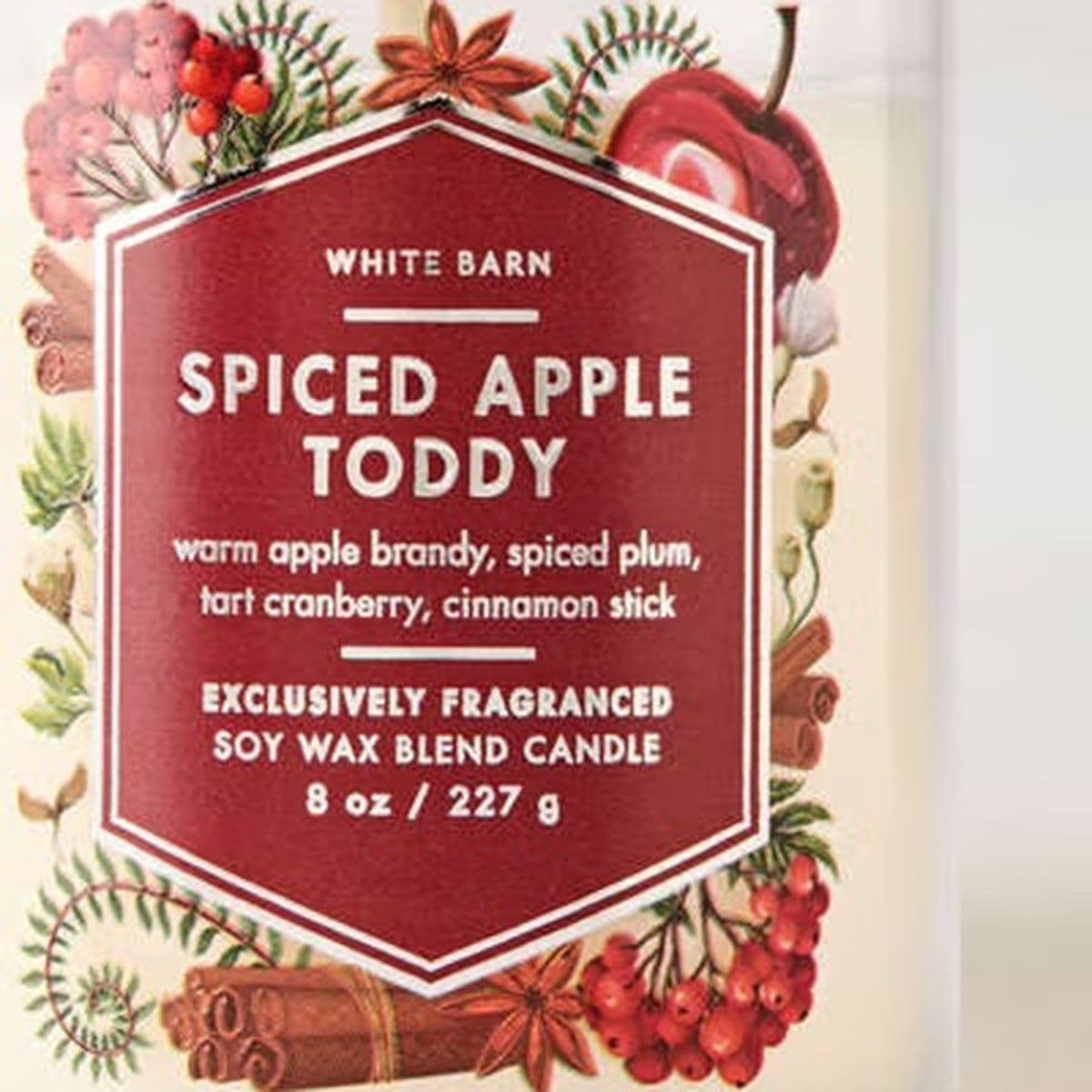 Vela 227gr de 1 Pabilo Bath & Body Works Spiced Apple Toddy - Imagen 3