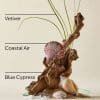 Body Spray & Mist, Bath & Body Works, Ocean - Imagen 3