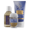 Set de Regalo, Bath & Body Works, 3 Piezas, Lavender Vanilla - Imagen 2