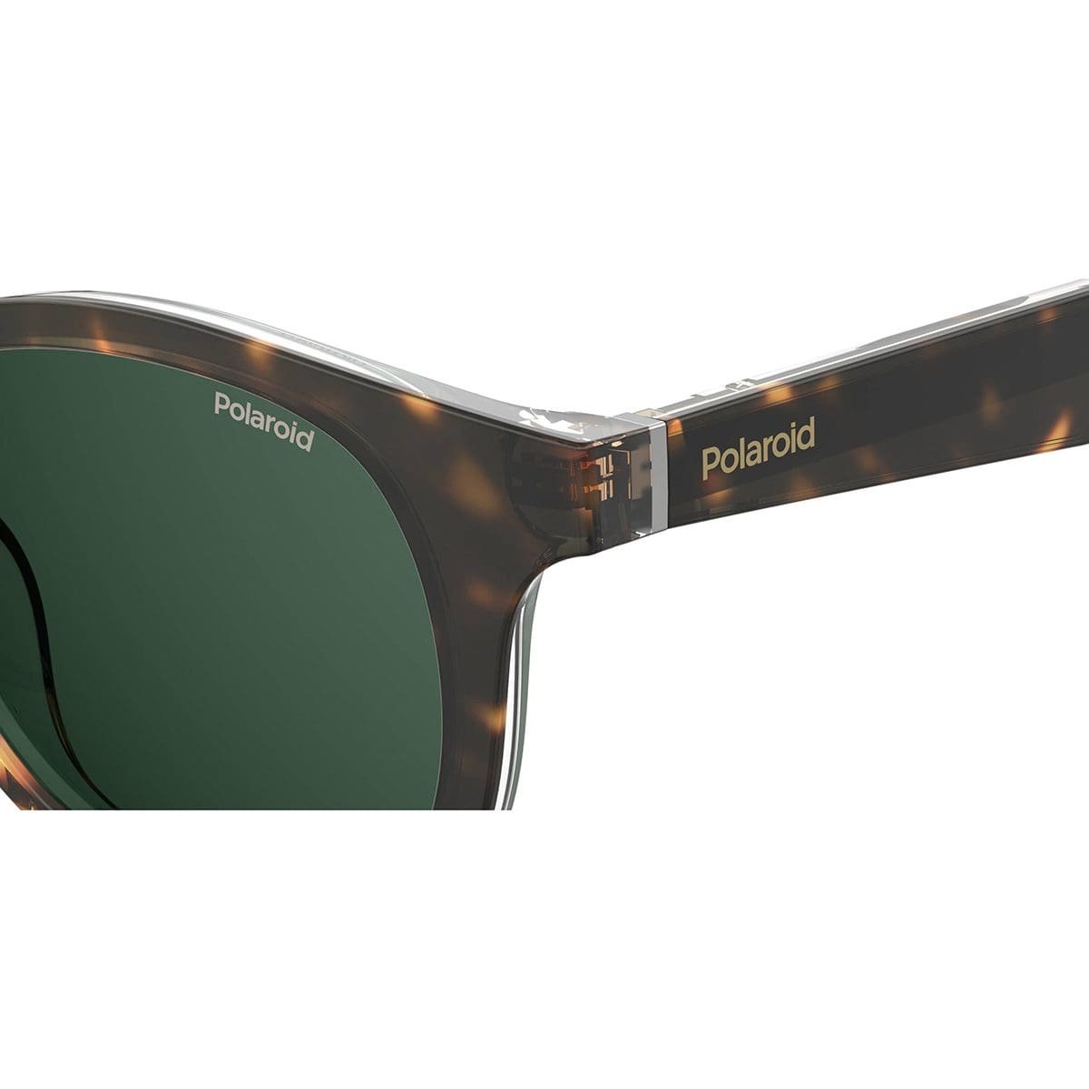Polaroid, Lentes de Sol, Redondo, Uni, 2103/S/X Havana Cristal / Green Polarized - Imagen 4