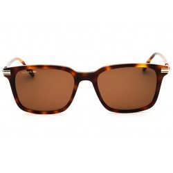 Alternative view of Lacoste, Lentes de Sol, Rectangular, Unisex, L6035S Havana / Brown